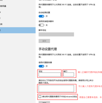 填入正確代理IP
